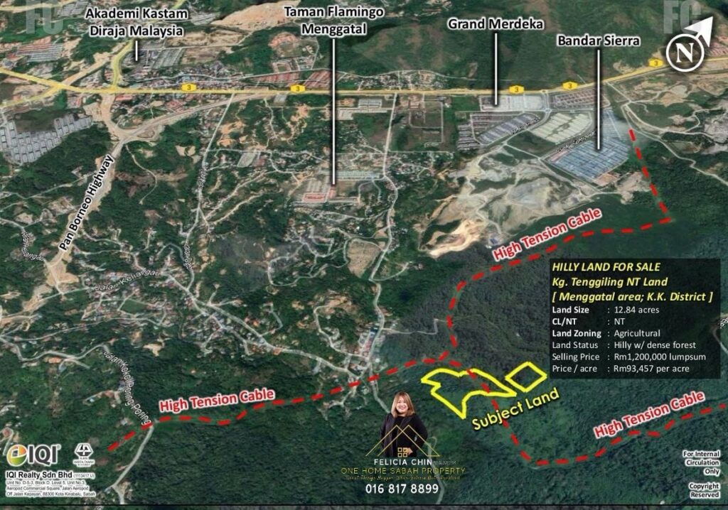 HILLY LAND FOR SALE MENGGATAL Felicia Chin
