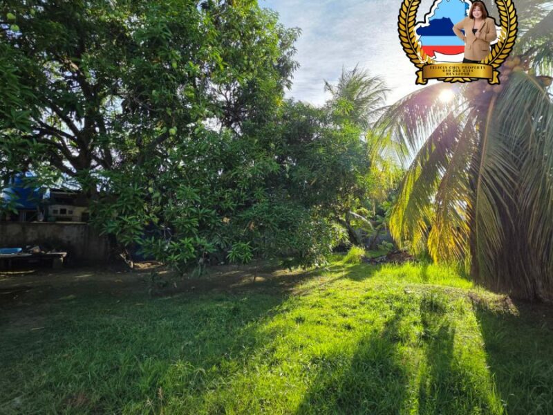π‘ TAMAN SRI KEPAYAN | SINGLE-STOREY CORNER LOT π‘
