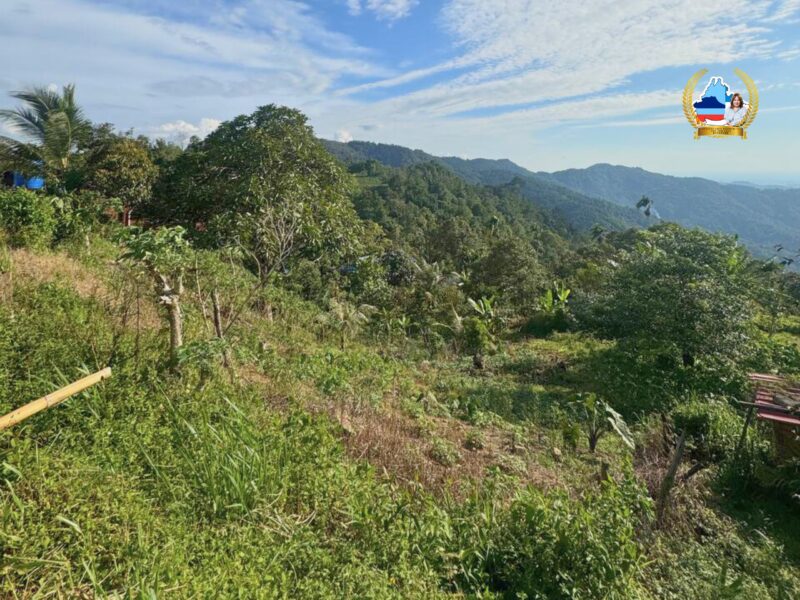 ποΈ NT LAND FOR SALE β Jalan Kokol, Menggatal ποΈ