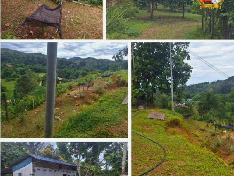 NT LAND FOR SALE ๐ Kg Mangkaladoi, Tamparuli