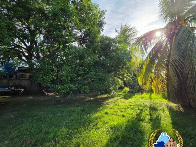 ๐ก SINGLE-STOREY CORNER LOT | Taman Sri Kepayan