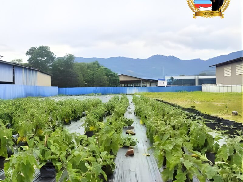 LAND FOR RENT | KKIP