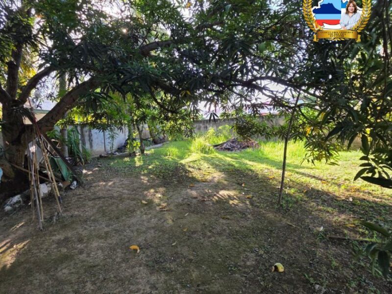 For Sale | Single-Storey Corner Lot | Taman Sri Kepayan