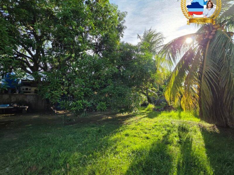 For Sale | Single-Storey Corner Lot | Taman Sri Kepayan